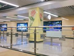 -杨柳河(地铁站)