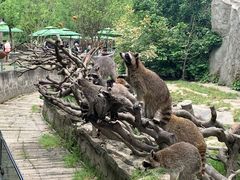 -宁波野生动物园