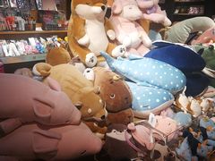 -九木杂物社(新一城店)