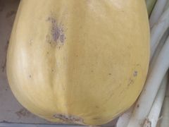 -陈家镇裕安农贸市场