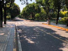 景点-白鹭洲公园