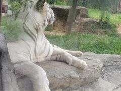 -杭州野生动物世界