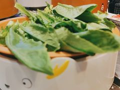 -龍歌自助小火锅(李沧丽达店)