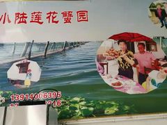 -小陆莲花蟹园农家乐(莲花岛店)