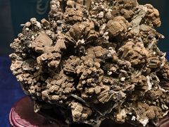 -国家自然博物馆