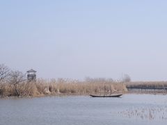 -盐城丹顶鹤湿地生态旅游区
