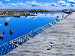 -花湖生态旅游区