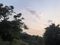 -番禺大夫山森林公园