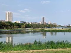 -南宁南湖公园