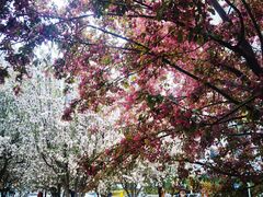 -元大都城垣遗址公园