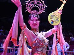 -灵玲国际马戏城