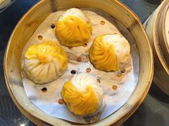 -临江·阅炉