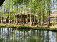 -溱湖国家湿地公园