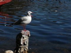 -丽江泸沽湖景区