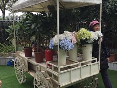 -苏小糖(鼓浪屿三丘田花园店)