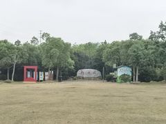 -上海海湾国家森林公园