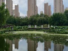 -前关湿地公园