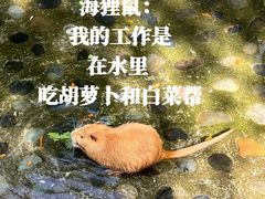 -水上乐园·欢乐世界