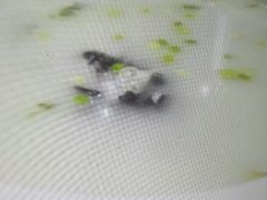 -苏浙徽·江南荟·本味融合菜(相城方圆里店)