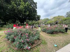 -人民公园(罗湖区)