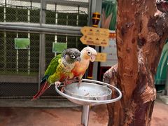 -正佳雨林生态植物园