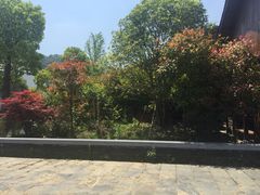 -石台牯牛降景区