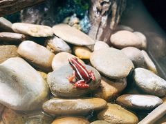 -暹罗海洋世界