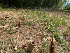 -南京市无想山景区