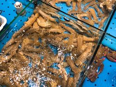 -潮庭·大连海鲜·炭火烧烤·扇贝王(大连店)