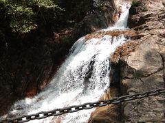 -九龙江国家森林公园