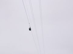 -田园寨农园观光园