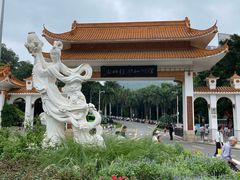 -深圳仙湖植物园