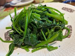番薯叶-点都德·毕德寮