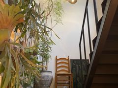 -自由生长植物工作室(深港花卉中心店)