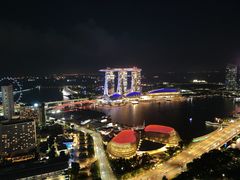 -新加坡瑞士史丹福酒店