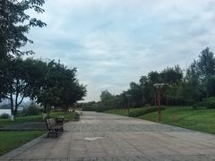 -眉山湿地公园(东坡区)