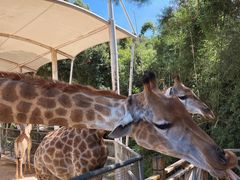 -泉州海丝野生动物世界