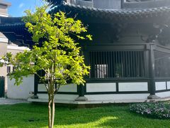 -荔湾湖公园
