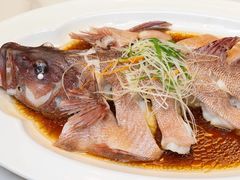 -金星大酒店(东街店)