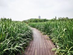 -永定河休闲森林公园