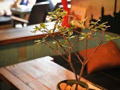 android_upload_pic-17号蓝滩咖啡馆(武夷山店)