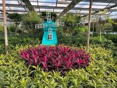 -南宫五洲植物乐园