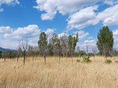 -野鸭湖国家湿地公园