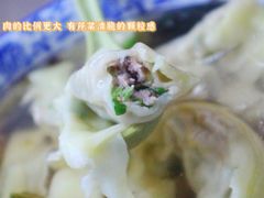 本地嫩芹菜鲜肉大馄饨-方老大馄饨(抚宁巷店)