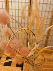 -Peach Yoga桃桃瑜伽塑形馆