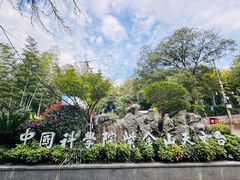-紫金山山顶公园