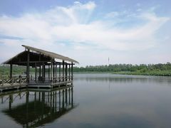 -溱湖国家湿地公园