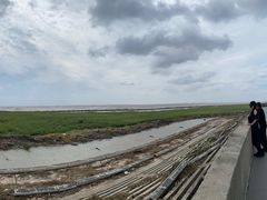 -南汇嘴观海公园