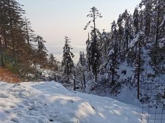 -瓦屋山景区
