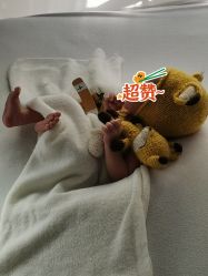 -西瓜庄园儿童摄影